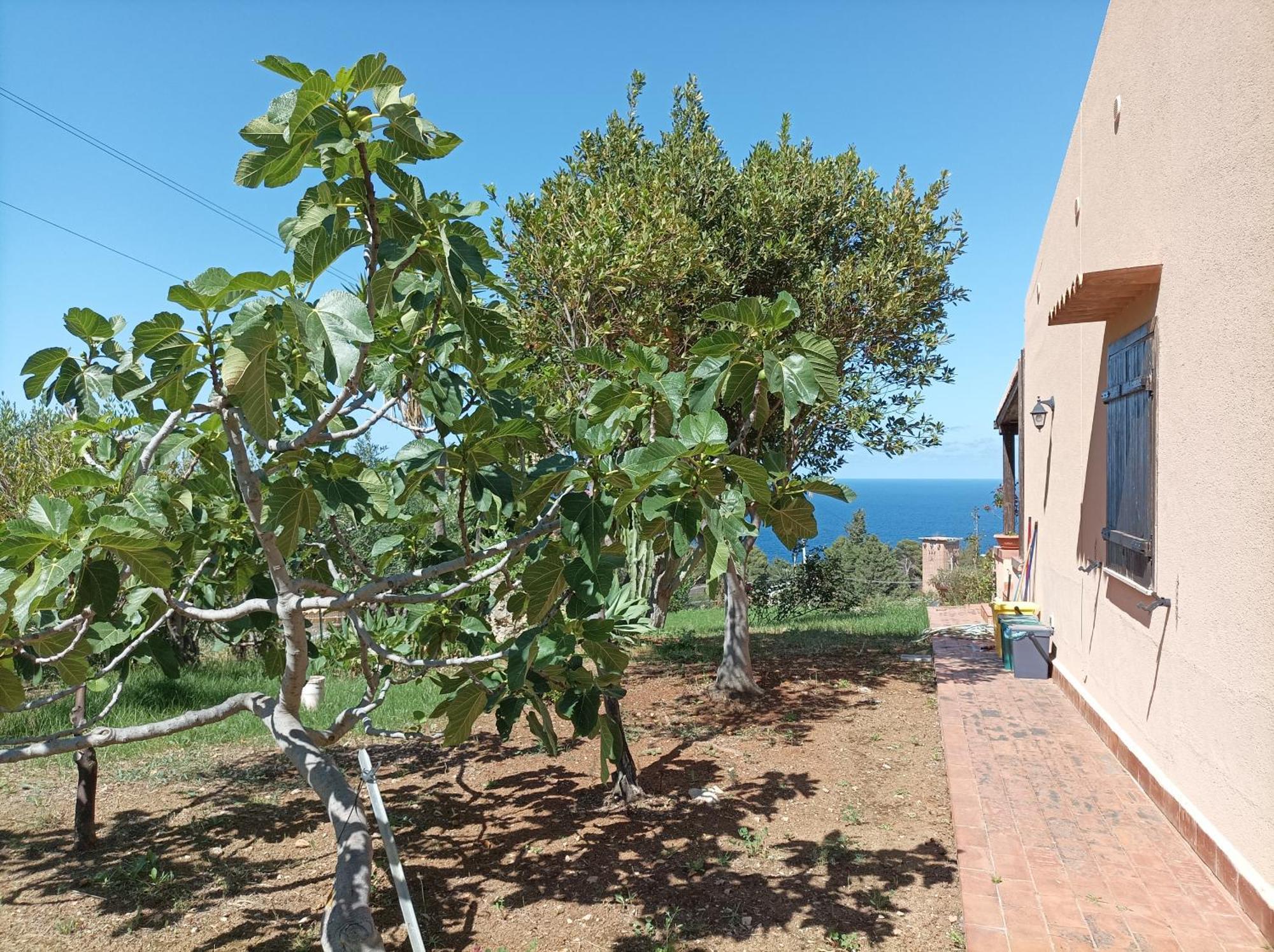 La Terrazza Su Pispisa Villa Castellammare del Golfo Eksteriør billede